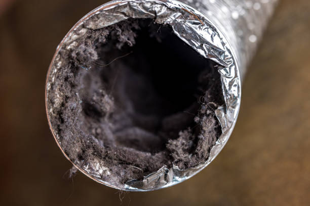 Best Air Duct Cleaning Near Me  in Enigma, GA
